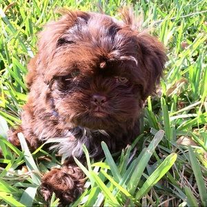 Meet your Posher, Ruben